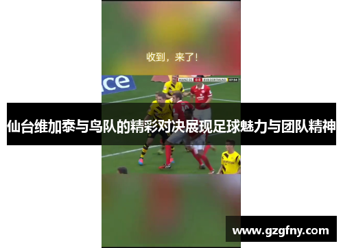 仙台维加泰与鸟队的精彩对决展现足球魅力与团队精神