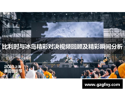 比利时与冰岛精彩对决视频回顾及精彩瞬间分析