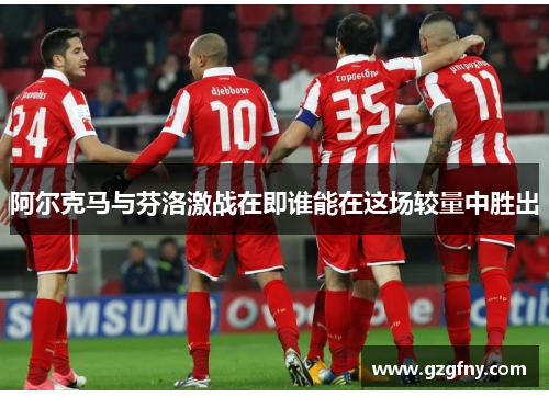 阿尔克马与芬洛激战在即谁能在这场较量中胜出